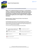 Effect of combined bioprocessing on antioxidant activity, chemical, functional, and microstructural properties of malted and fermented pearl millet (Pennisetum glaucum) and sorghum flour (Sorghum bicolour)