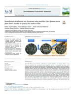 Remediation of cadmium and chromium using modified Vitex doniana waste plant Seed's biochar in quarry site surface water