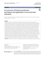 An overview of biochar production techniques and application in iron and steel industries