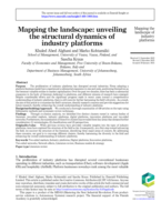Mapping the landscape: unveiling the structural dynamics of industry platforms