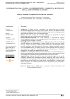 Constraints, challenges, and opportunities for digital business in rural and township economy