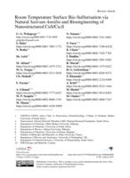 Room temperature surface bio-sulfurisation via natural Sativum Annilin and bioengineering of nanostructured CuS/Cu 2S