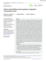 Africa's natural fibres used in polymer composites: A systematic review