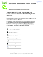Strategic analyses on the South African grid supply and consumption inefficiencies by market segments