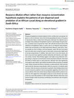 Resource dilution effect rather than resource concentration hypothesis explains the patterns of pre‐dispersal seed predation of an African cycad along an elevational gradient in South Africa