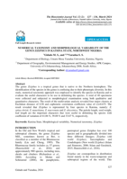 Numerical taxonomy and morphological variability of the genus ziziphus in Katsina State, Northwest Nigeria