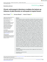 Chronic anthropogenic disturbance mediates the bottom-up influence of plant diversity on arthropods in tropical forests