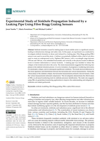 Experimental study of sinkhole propagation induced by a leaking pipe using fibre bragg grating sensors