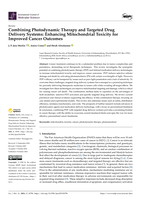 Combining photodynamic therapy and targeted drug delivery systems: Enhancing mitochondrial toxicity for improved cancer outcomes