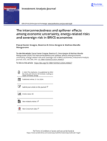 The interconnectedness and spillover effects among economic uncertainty, energy-related risks and sovereign risk in BRICS economies