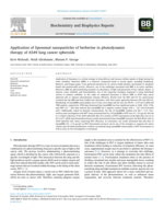 Application of liposomal nanoparticles of berberine in photodynamic therapy of A549 lung cancer spheroids