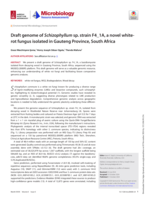 Draft genome of Schizophyllum sp. strain F4_1A, a novel white-rot fungus isolated in Gauteng Province, South Africa