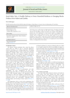 Social safety nets: A possible pathway to foster household resilience to emerging shocks. Evidence from Malawi and Zambia
