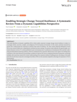 Enabling strategic change toward resilience: A systematic review from a dynamic capabilities perspective