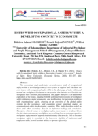 Issues with  occupational safety within a developing country's eco-system