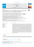 Deciphering the role of LOC124905135-related non-coding RNA cluster in human cancers: A comprehensive review