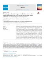 Preliminary mechanistic insights into the detection of ethanol vapour using MnO2 NRs-CNPs-poly-4-(vinylpyridine) based solid-state sensor operating at room temperature