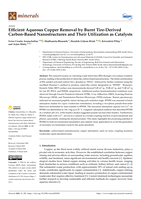 Efficient aqueous copper removal by burnt tire-derived carbon-based nanostructures and their utilization as catalysts