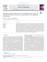 Polyaniline decorated rooibos tea waste: An adsorbent for the removal of hexavalent chromium and its reuse as a photocatalyst for the degradation of tetracycline