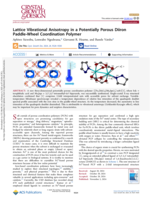 Lattice vibrational anisotropy in a potentially porous diiron paddle‑wheel coordination polymer
