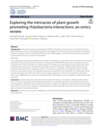 Exploring the intricacies of plant growth promoting rhizobacteria interactions: an omics review
