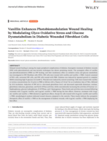 Vanillin enhances photobiomodulation wound healing by modulating glyco-oxidative stress and glucose dysmetabolism in diabetic wounded fibroblast cells