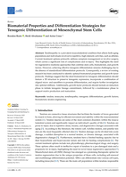 Biomaterial Properties and Differentiation Strategies for Tenogenic Differentiation of Mesenchymal Stem Cells