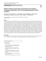 Biogenic synthesis of metal oxide nanoparticles for the elicitation of secondary metabolites in the in vitro propagated plantlets of Rubia cordifolia L