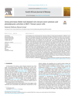 Senna petersiana (Bolle) leaf alkaloid-rich extracts exert cytotoxic and photodynamic activities in MCF-7 breast cancer cells
