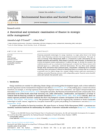 A theoretical and systematic examination of finance in strategic niche management