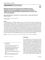 Molecular detection of mecA gene from methicillin-resistant Staphylococcus aureus isolated from clinical and environmental samples and its potential inhibition by phytochemicals using in vitro and in silico approach