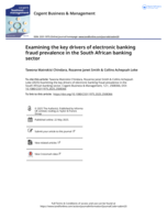 Examining the key drivers of electronic banking fraud prevalence in the South African banking sector