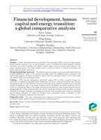 Financial development, human capital and energy transition: a global comparative analysis
