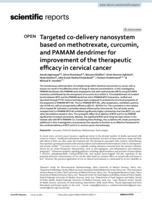 Targeted co-delivery nanosystem based on methotrexate, curcumin, and PAMAM dendrimer for improvement of the therapeutic efficacy in cervical cancer