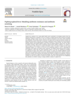Fighting typhoid fever: Modeling antibiotic resistance and antibiotic switching
