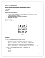 Mathematics for the intermediate phase 2A