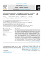 Uniform, Circular and Shallow (UCS) enamel pitting in hominins: Prevalence, morphological associations, and potential taxonomic significance