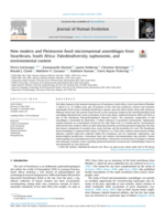 New modern and Pleistocene fossil micromammal assemblages from Swartkrans, South Africa: Paleobiodiversity, taphonomic, and environmental context