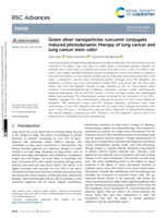 Green silver nanoparticles curcumin conjugate induced photodynamic therapy of lung cancer and lung cancer stem cells