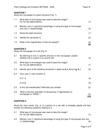 Plant Cytology and Anatomy