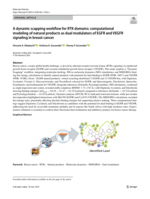 A dynamic scapping workflow for RTK domains: computational modeling of natural products as dual modulators of EGFR and VEGFR signaling in breast cancer