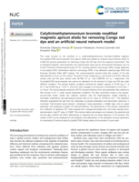 Cetyltrimethylammonium bromide modified magnetic apricot shells for removing Congo red dye and an artificial neural network model