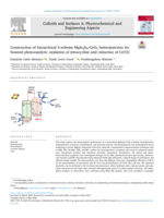 Construction of hierarchical S-scheme MgIn2S4/CeO2 heterojunction for boosted photocatalytic oxidation of tetracycline and reduction of Cr(VI)