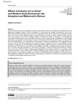 Effects of industry 4.0 on small and medium-scale enterprises: An analytical and bibliometric review