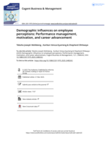 Demographic influences on employee perceptions : Performance management, motivation, and career advancement