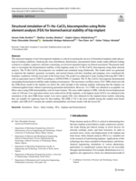 Structural simulation of Ti-Ha-CaCO3 biocomposites using finite element analysis (FEA) for biomechanical stability of hip implant