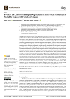 Bounds of different integral operators in Tensorial Hilbert and variable exponent function spaces