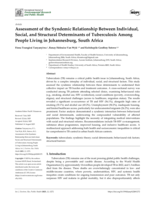 Assessment of the syndemic relationship between individual, social, and structural determinants of tuberculosis among people living in Johannesburg, South Africa