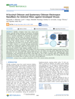 N-Succinyl chitosan and quaternary chitosan electrospun nanofibers for antiviral filters against enveloped viruses