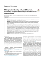 Chiropractic identity, role, and future : A secondary analysis of a survey of South African chiropractors